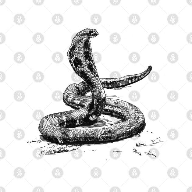 Cobra Ink Drawing by Fireside Press