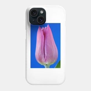 Tulipa  &#39;Blue Beauty&#39;   Triumph Group Tulip Phone Case