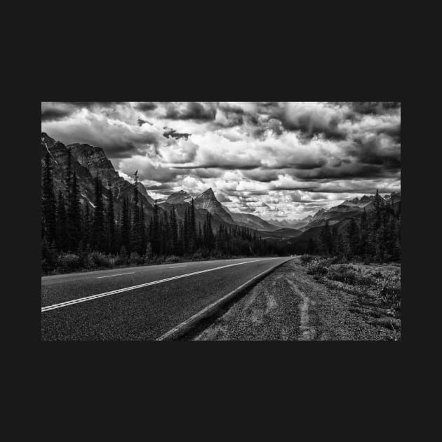 Cruising the Icefields Parkway by krepsher