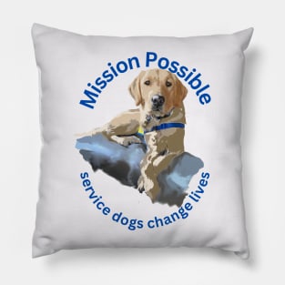 Mission Possible Pillow