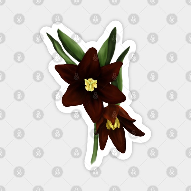 Chocolate Lily Flowers Digital Art Magnet by H. R. Sinclair