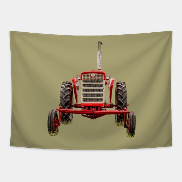 240 Front View Tapestry by Enzwell