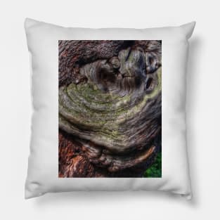 Tree Knot Pillow