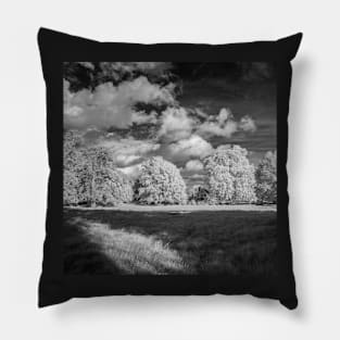 Church Meadow Pillow