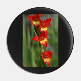 Gladioli Pin