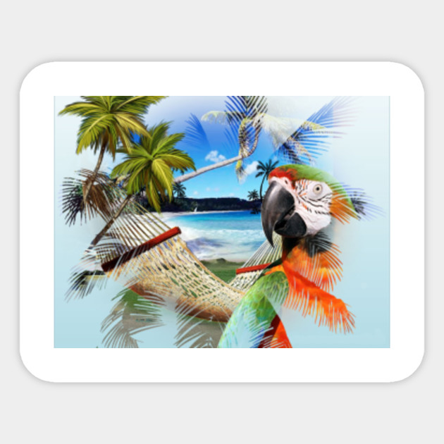 Jimmy Buffett