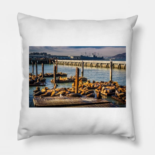 Sea Lions Sunning At Pier 39 Pillow by Robert Alsop