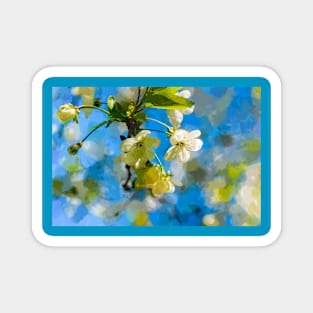 White Cherry Flowers, Blue Sky Magnet