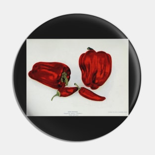 Vintage Red Pepper Pin