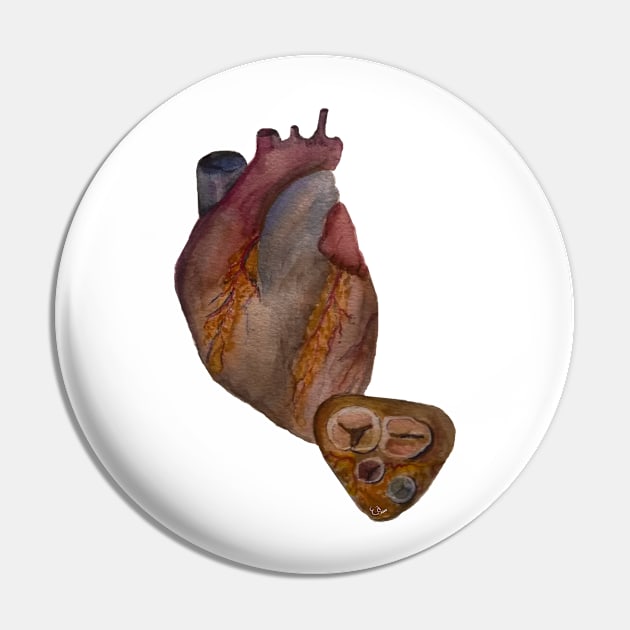 Anatomical Heart Watercolor Illustration Pin by emadamsinc
