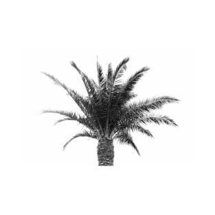 Palm Tree T-Shirt