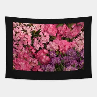 Pink flowers Tapestry