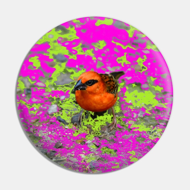 Red Bird Pin by Wolf Art / Swiss Artwork Photography