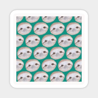 Sloth Neck Gator Cute Sloth Faces Teal Sloth Magnet