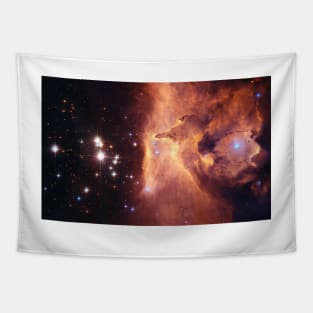 Pismis Nebula Tapestry