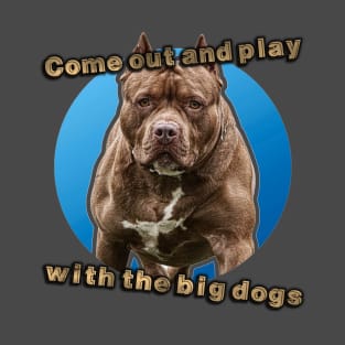 Big Dogs T-Shirt