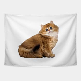 British Longhair Cat Kitten Tapestry