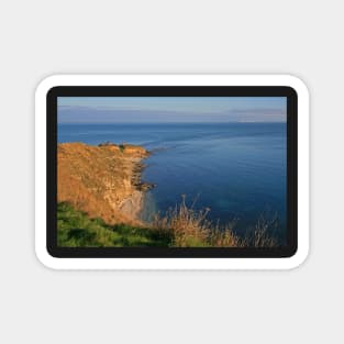 Peveril Point Magnet