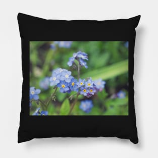 Forget-Me-Nots 2 Pillow