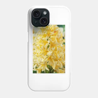 Hyacinthus orientalis  &#39;Gipsy Princess&#39;  Hyacinth Phone Case