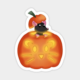 Rat O Lantern Magnet