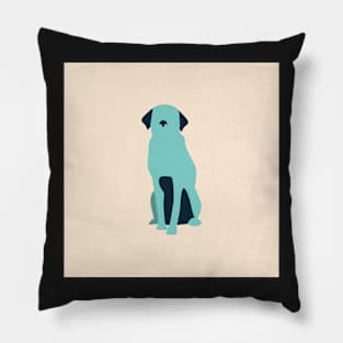 Isolated Dog on Pink Pillow