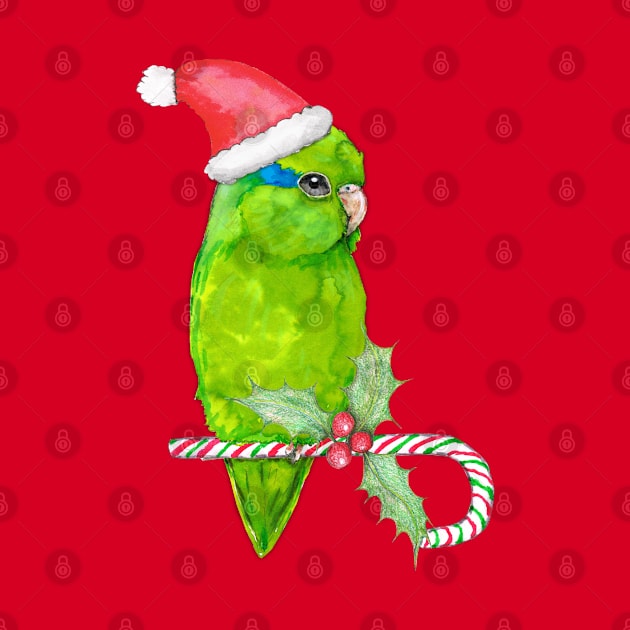 Green parrotlet christmas style by Bwiselizzy