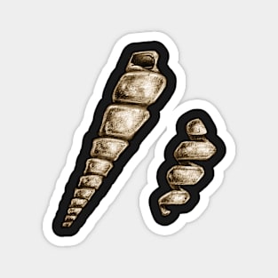 Turritella Shell Fossil Sticker Magnet