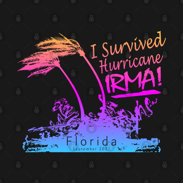 I survived Hurricane Irma by Etopix