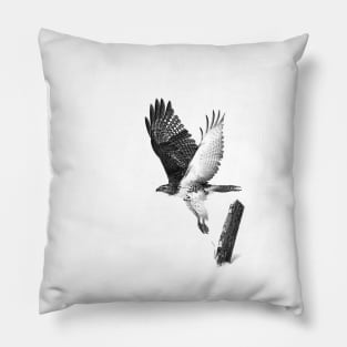 Red-tailed Hawk - B&W Pillow