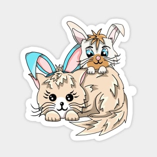 A Bunny and A Kitty Cat Magnet