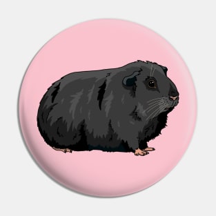 Black guinea pig Pin