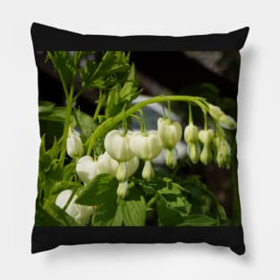 white bleeding hearts #3 Pillow