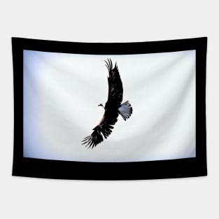 Bald Eagle wingspan Tapestry