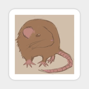 Round Brown Rat (or mouse if you prefer) Magnet