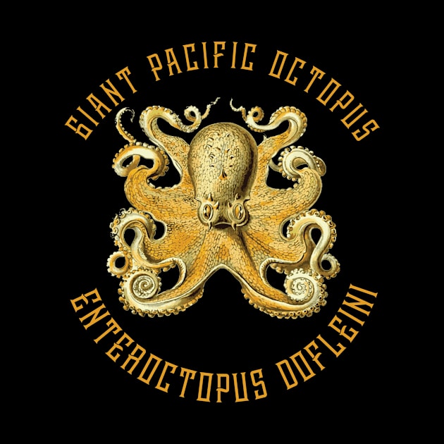 Giant Pacific Octopus by shipwrecked2020