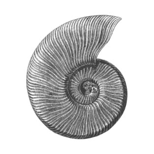 Ammonite Fossil T-Shirt