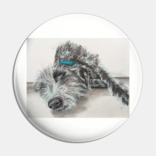 Sleeping scruffy Lurcher Pin