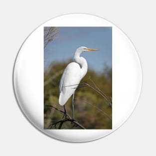 Great egret Pin