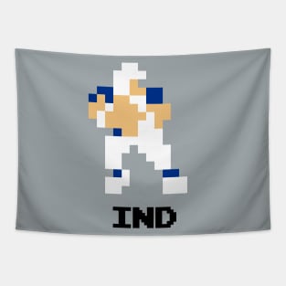 8-Bit Quarterback - Indianapolis Tapestry