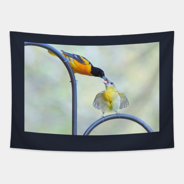 Oriole feeding fledgling #2 Tapestry by LaurieMinor