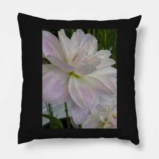 White Dahlia Pillow