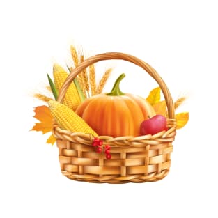 A Basketful of Autumn Fruits T-Shirt