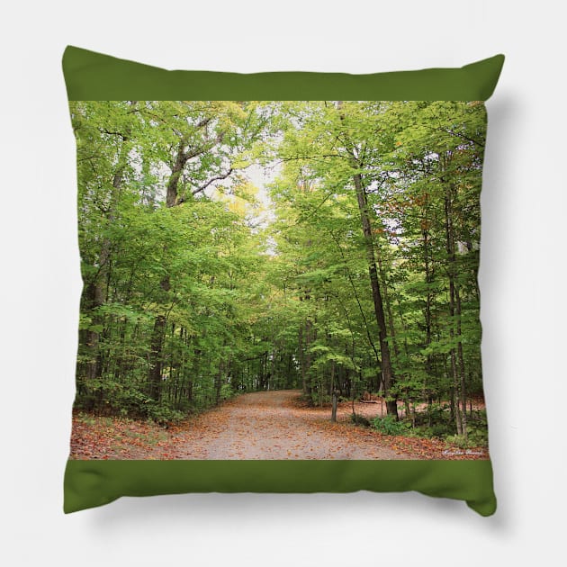 Passing Through - Algonquin Provincial Park Pillow by MaryLinH