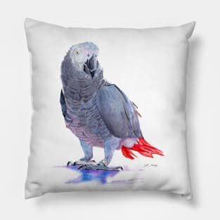 African Grey Parrot Pillow