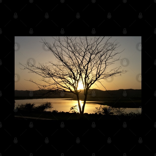 Yellow Sunset with Large Tree & Mountains by econaki