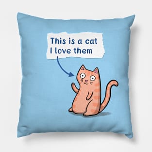 This is a Cat Pillow