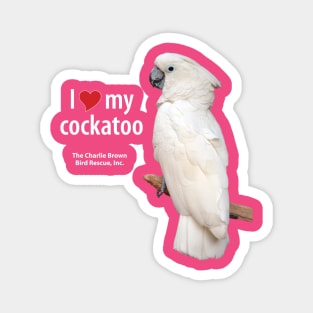 CB Moluccan Cockatoo Magnet