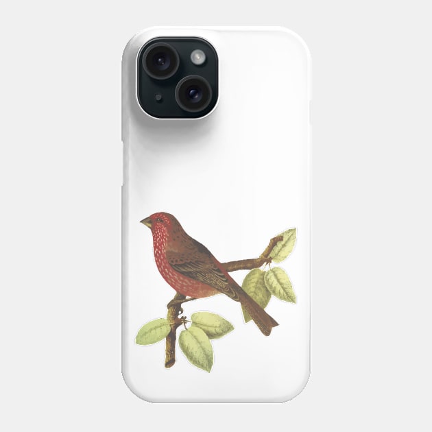 Cute birds #1 Phone Case by LeonLedesma