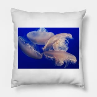 Dance of the Jellyfish Pillow